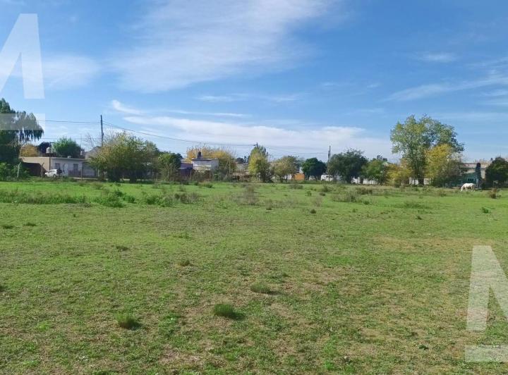 Terreno · 270m²