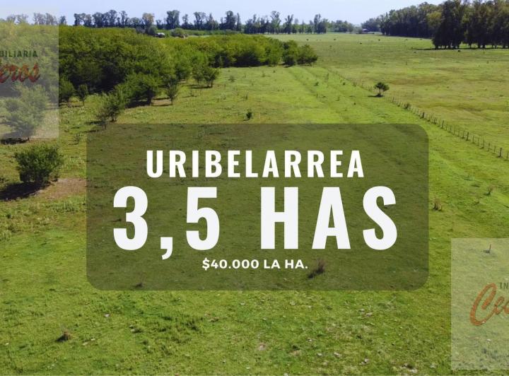 Terreno · 35547m²