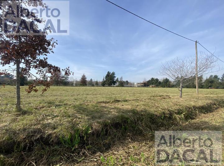 Terreno · 442m²