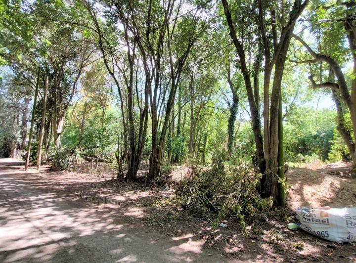 Terreno · 442m²
