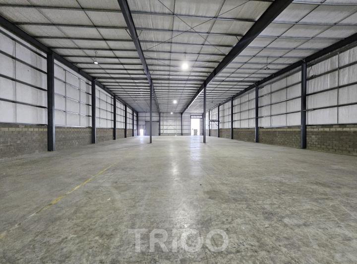 Bodega-Galpón · 1300m² · 8 Cocheras