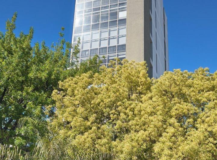 Oficina comercial · 55m² · 1 Ambiente
