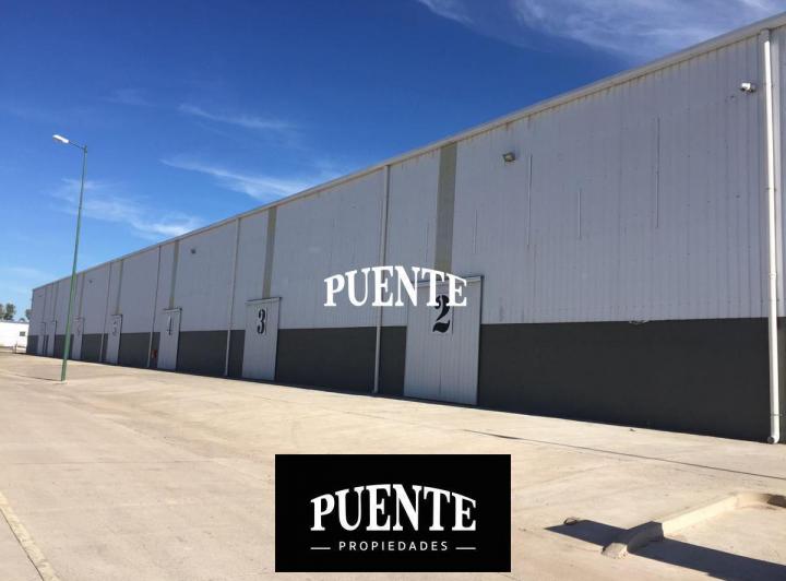 Bodega-Galpón · 3300m² · 5 Ambientes