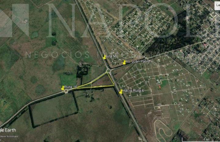 Campo · 62250m²