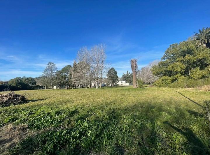 Campo · 40000m²