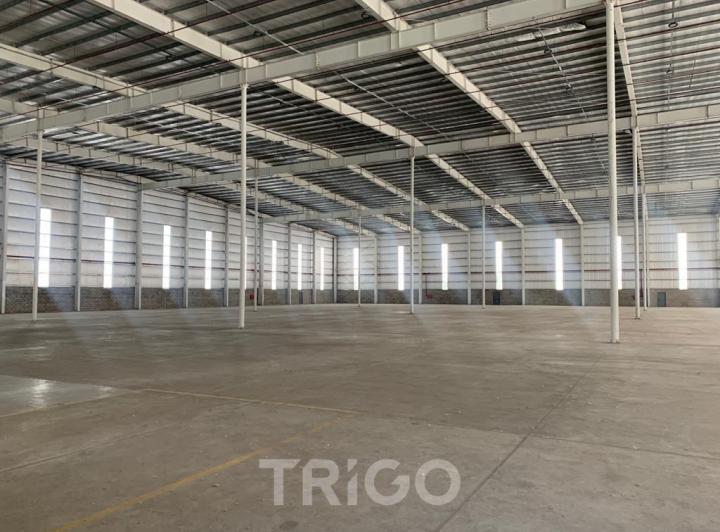 Bodega-Galpón · 6500m² · 1 Ambiente