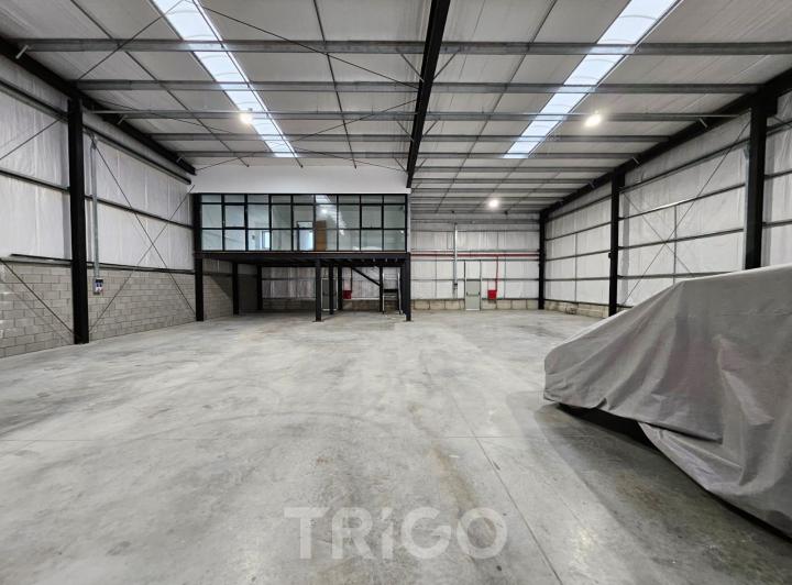Bodega-Galpón · 533m² · 1 Ambiente