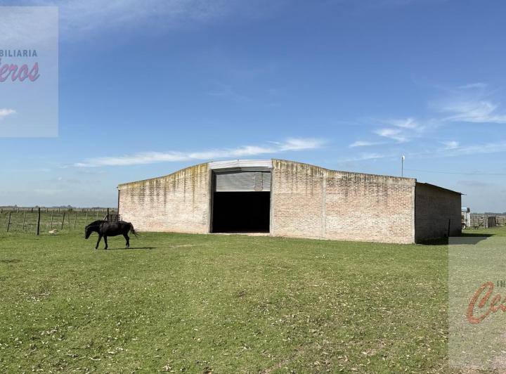 Bodega-Galpón · 400m² · 1 Ambiente