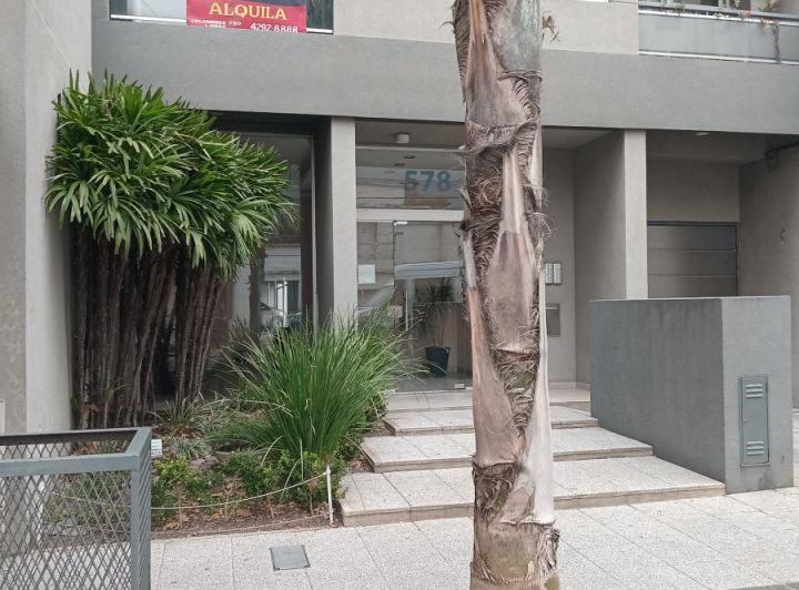Departamento · 42m² · 2 Ambientes · 1 Cochera