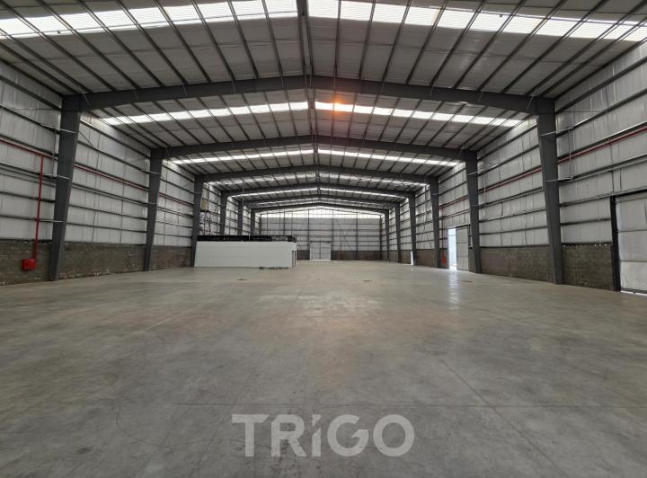 Bodega-Galpón · 2000m² · 15 Cocheras