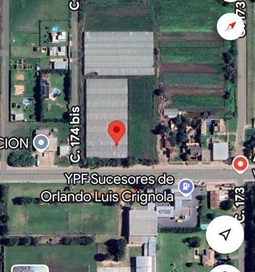 Campo