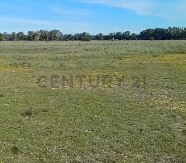 Campo · 20m²