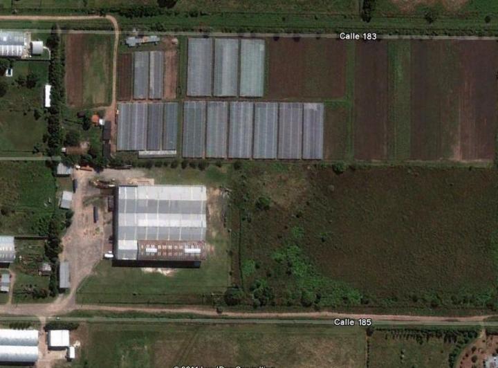Bodega-Galpón · 60000m²