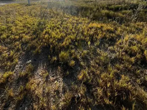 Terreno en general roca