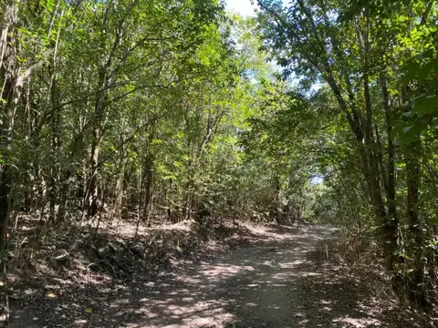 Venta lote en salsipuedes una hectárea a un precio imperdible!