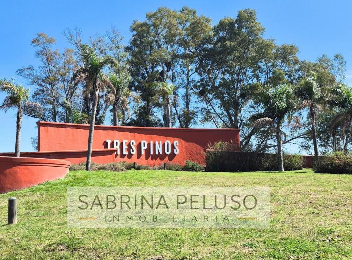 Terreno · 1055m²