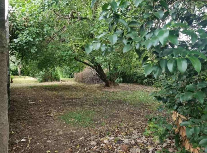 Terreno · 572m²