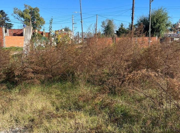 Terreno · 1500m²