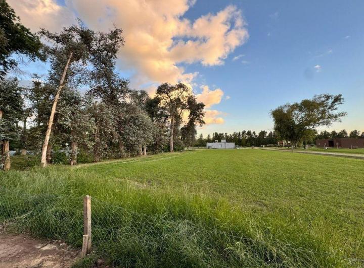 Terreno · 2042m²