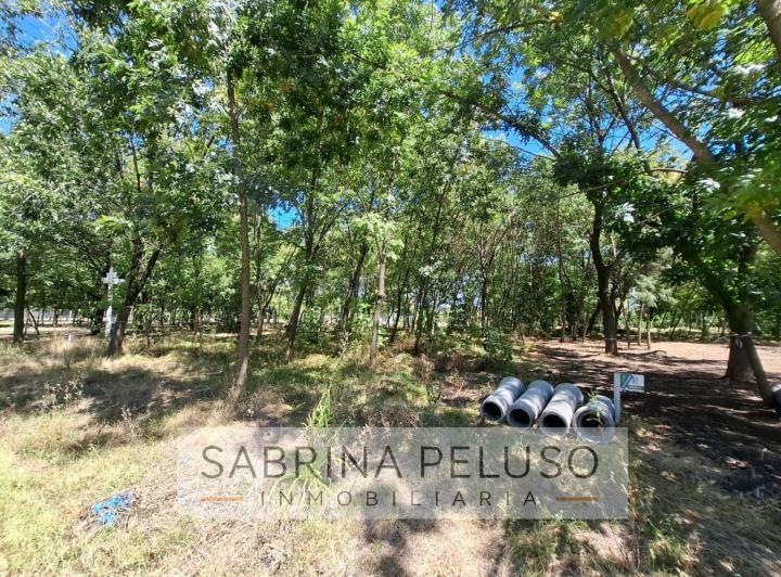 Terreno · 391m²