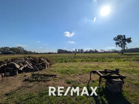 Alquiler lote agricola 47000m pavon  ex.de la cruz