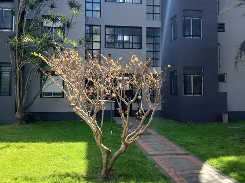 Alq. 4 amb. planta baja,amplio, luminoso