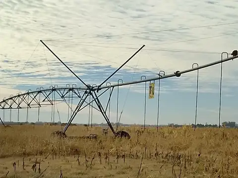 Campo agrícola 325 has. i, ii y iii sobre ruta 31 entre salto y rojas, buenos aires, argentina