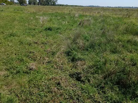 Campo en venta en alejandro korn