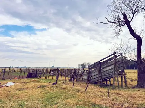 Campo en venta la plata abasto