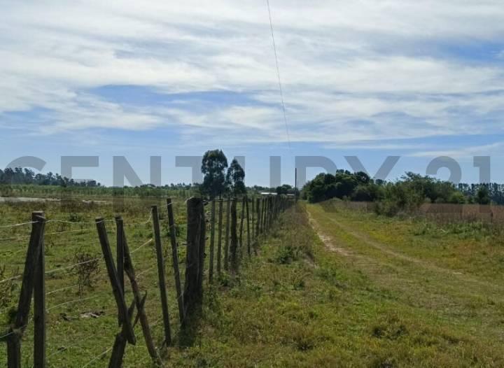 Campo · 90m² · 2 Ambientes