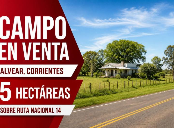 Campo · 3 Ambientes