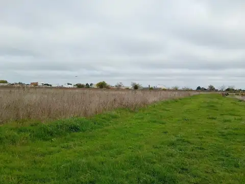 Fraccion en alquiler en arana 60.000 m2