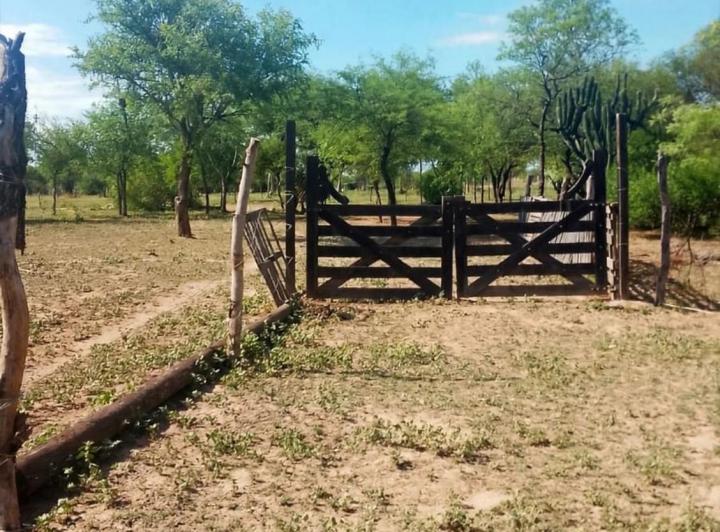Campo · 4262ha