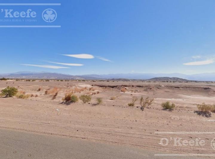 Campo · 1010000m²