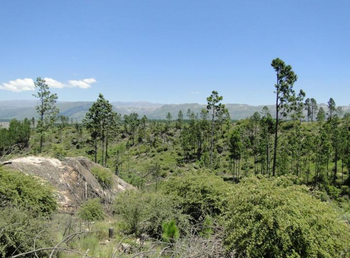 Terreno · 23100m²