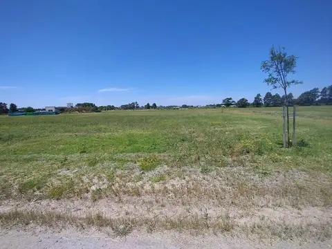 Venta 1000 m2 barrio polo tres pinos