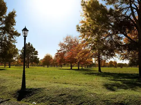 Lote en mirabosques
