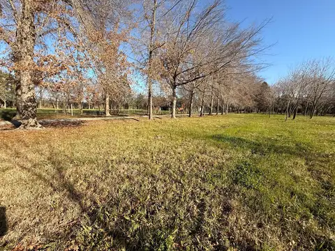 Terreno lote  en venta en el remanso, exaltación de la cruz, g.b.a. zona norte