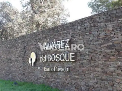 Lote en venta alvarez del bosque