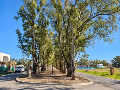 Terreno lote  en venta en santa sofía, pilar del este, pilar