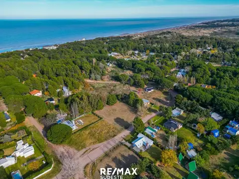 Lote pehuen-co