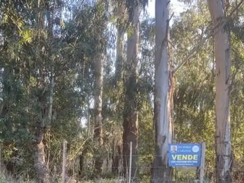 Lote en la elena con servicios tandil
