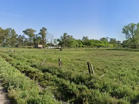 Terreno baldio en venta en virey del pino