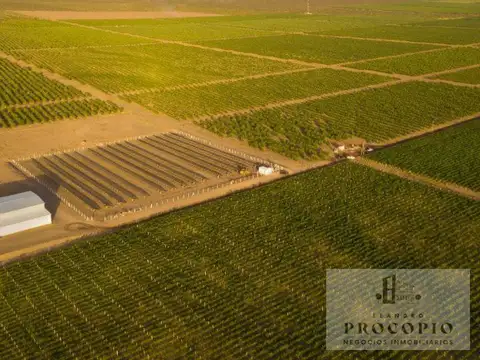 Terreno en tinogasta