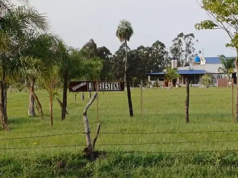 Terreno en venta de 1399 m² en colonia carolina