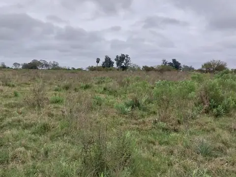 Campo de 4 ha en granja amelia a 10 km de goya