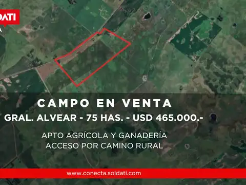 Campo mixto de 75 hectáreas en gral.alvear
