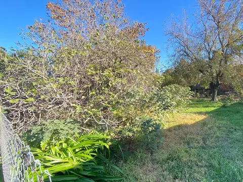 Lote 250 mt2 en venta oliveros