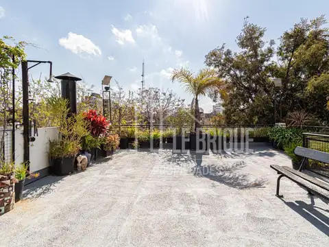 Casa en lote propio con garaje + patio, quincho y terraza
