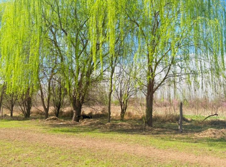 Terreno · 2000m²